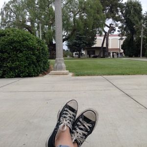 Meet your Posher, Alicia